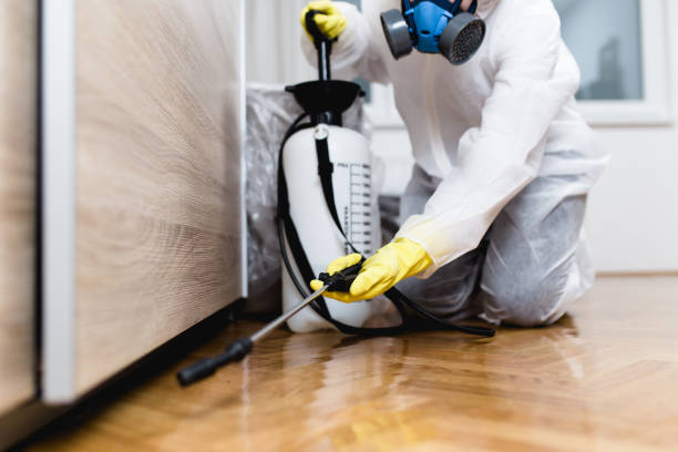 Best Pest Inspection Near Me  in Wimauma, FL