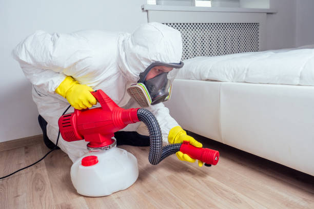 Best Affordable Pest Control Services  in Wimauma, FL