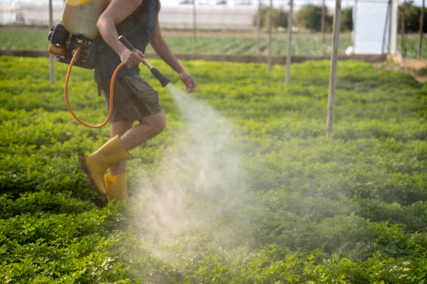 Best Wildlife Control Services  in Wimauma, FL