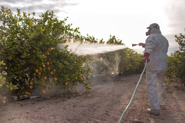Pest Control Cost in Wimauma, FL