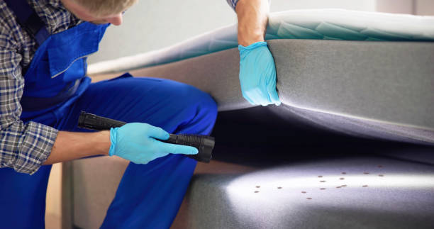 Reliable Wimauma, FL Pest Control Solutions