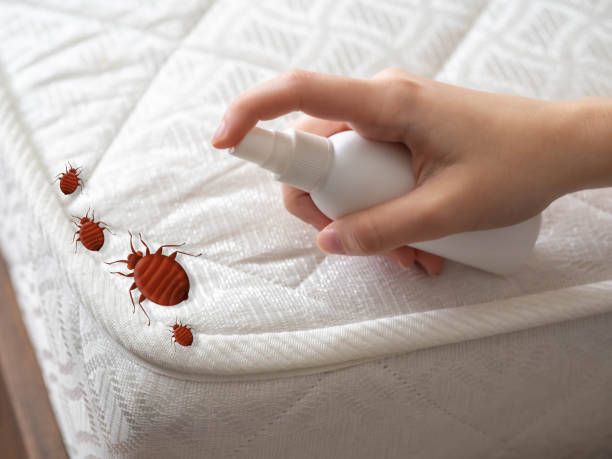 Best Pest Prevention Services  in Wimauma, FL