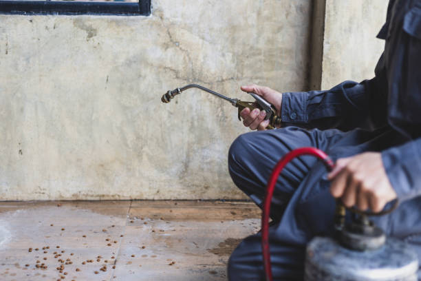 Best Mosquito Control Services  in Wimauma, FL